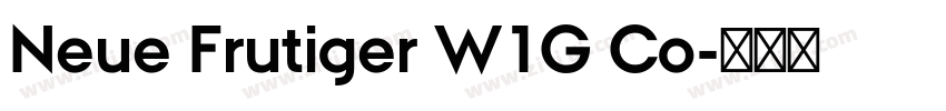 Neue Frutiger W1G Co字体转换 Neue Frutiger W1G Co字体转换